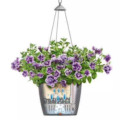 LECHUZA Plantenbak NIDO Cottage 35 ALL-IN-ONE hangend zandbruin