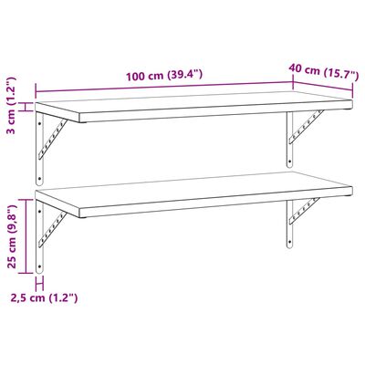 vidaXL Wandschappen 2 st 100x40 cm roestvrijstaal zwart