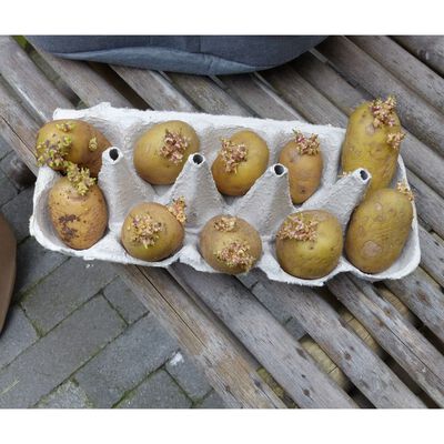 Nature Aardappelkweekzak 37 L beige