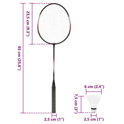 vidaXL Badmintonset met 2 rackets, net en opbergkoffer 292x30x152 cm