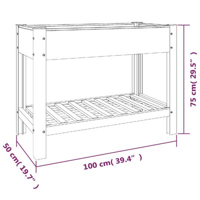 vidaXL Plantenbak verhoogd met schap 100x50x75 cm HKC