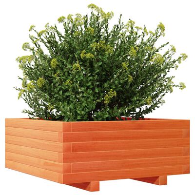 vidaXL Plantenbak 60x60x26,5 cm massief grenenhout wasbruin