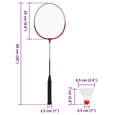 vidaXL Badmintonset met 4 rackets en net 620x151 cm