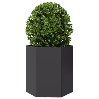 vidaXL Plantenbak zeshoek 46x40x45 cm staal zwart