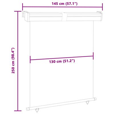 vidaXL Balkonscherm 145x250 cm zwart