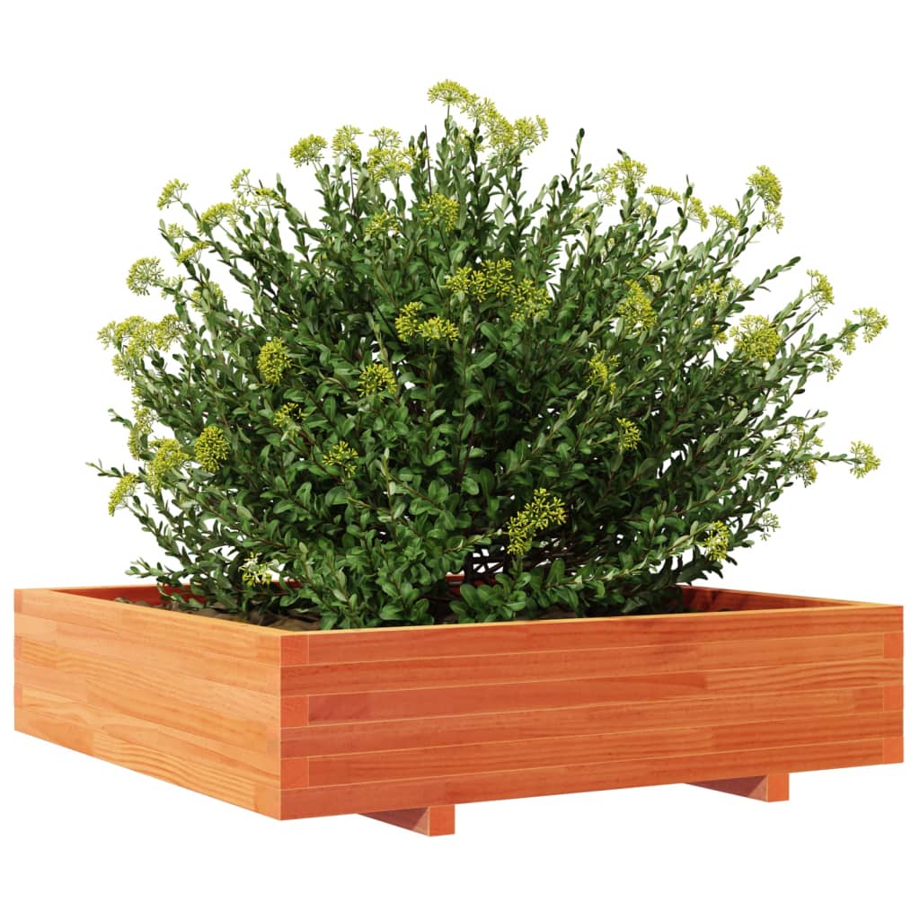 vidaXL Plantenbak 100x100x26,5 cm massief grenenhout wasbruin