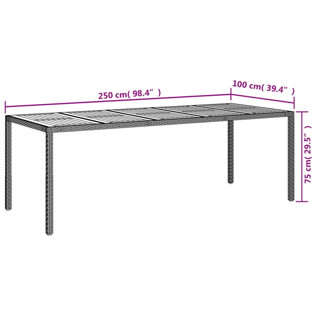 vidaXL Tuintafel 250x100x75 cm poly rattan zwart