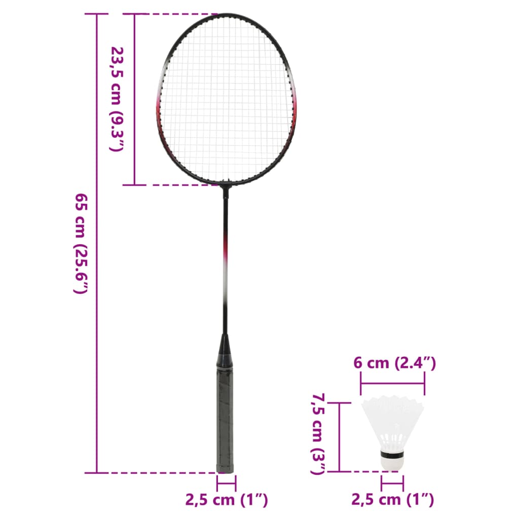 vidaXL Badmintonset met 2 rackets, net en opbergkoffer 292x30x152 cm