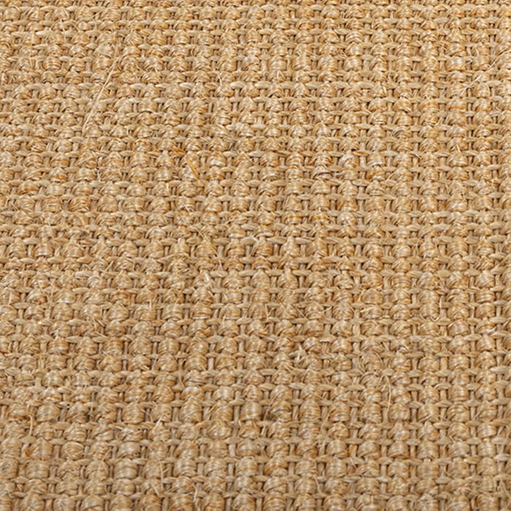 vidaXL Vloerkleed 66x100 cm natuurlijk sisal