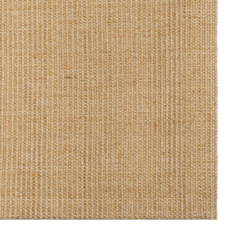 vidaXL Vloerkleed 66x100 cm natuurlijk sisal