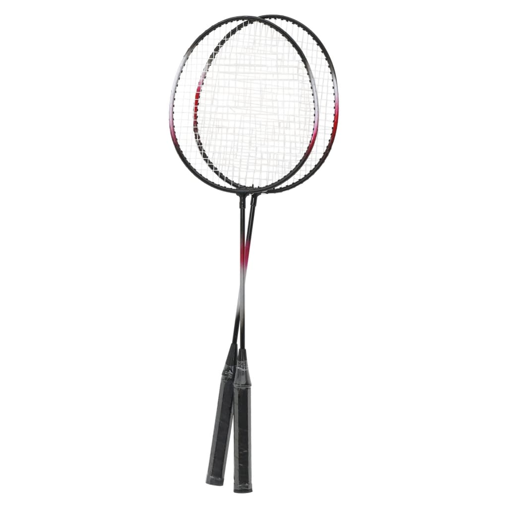 vidaXL Badmintonset met 2 rackets, net en opbergkoffer 292x30x152 cm