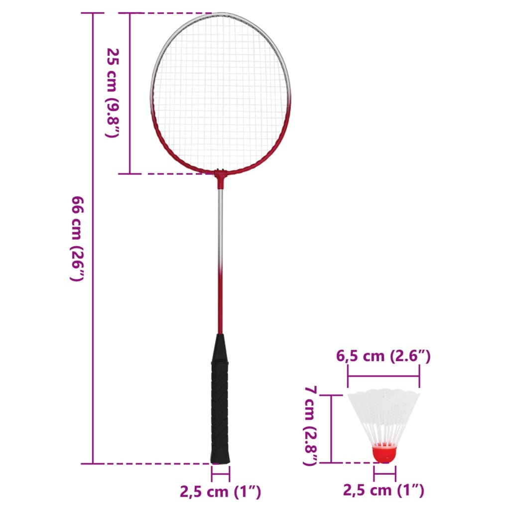 vidaXL Badmintonset met 4 rackets en net 620x151 cm