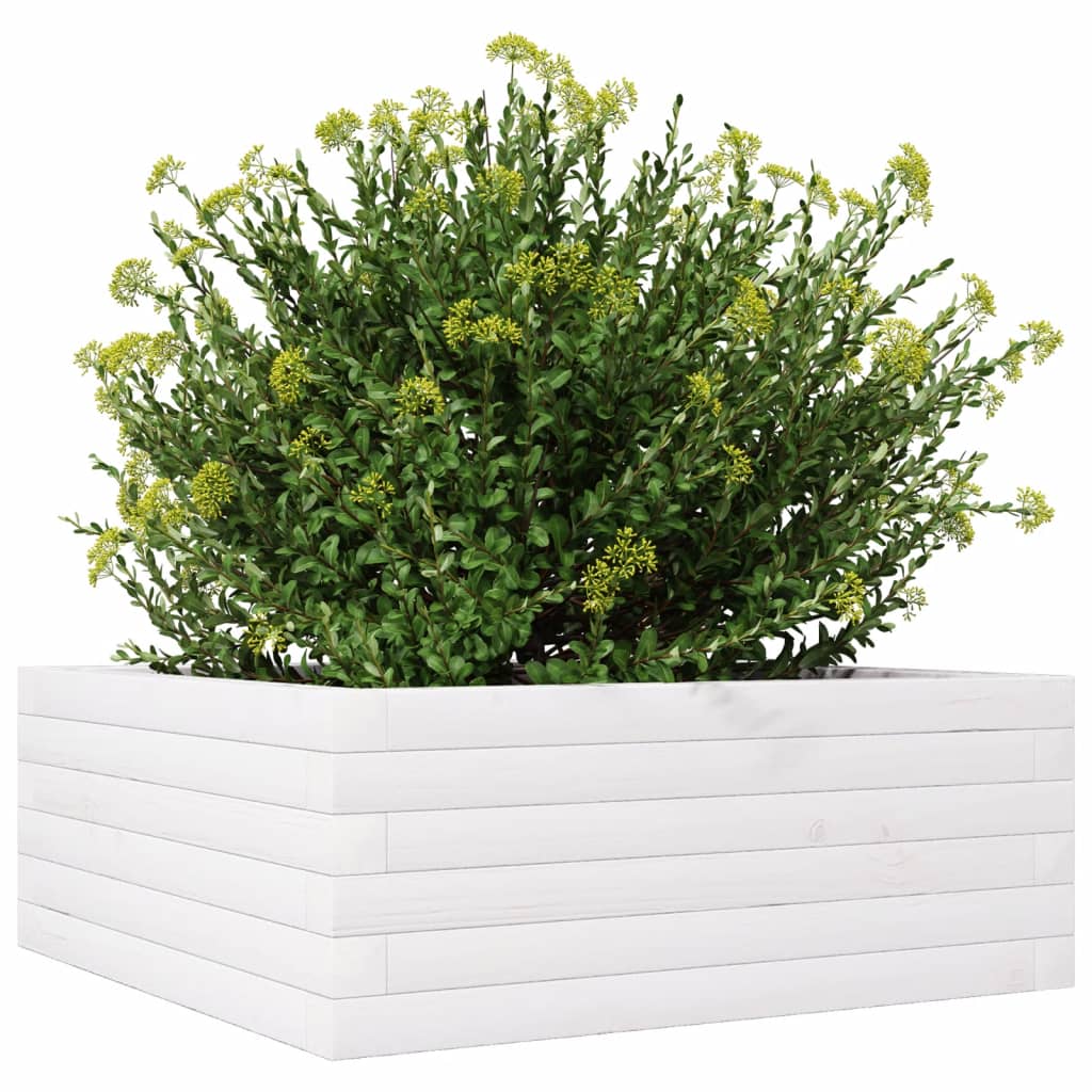 vidaXL Plantenbak 60x60x23 cm massief grenenhout wit