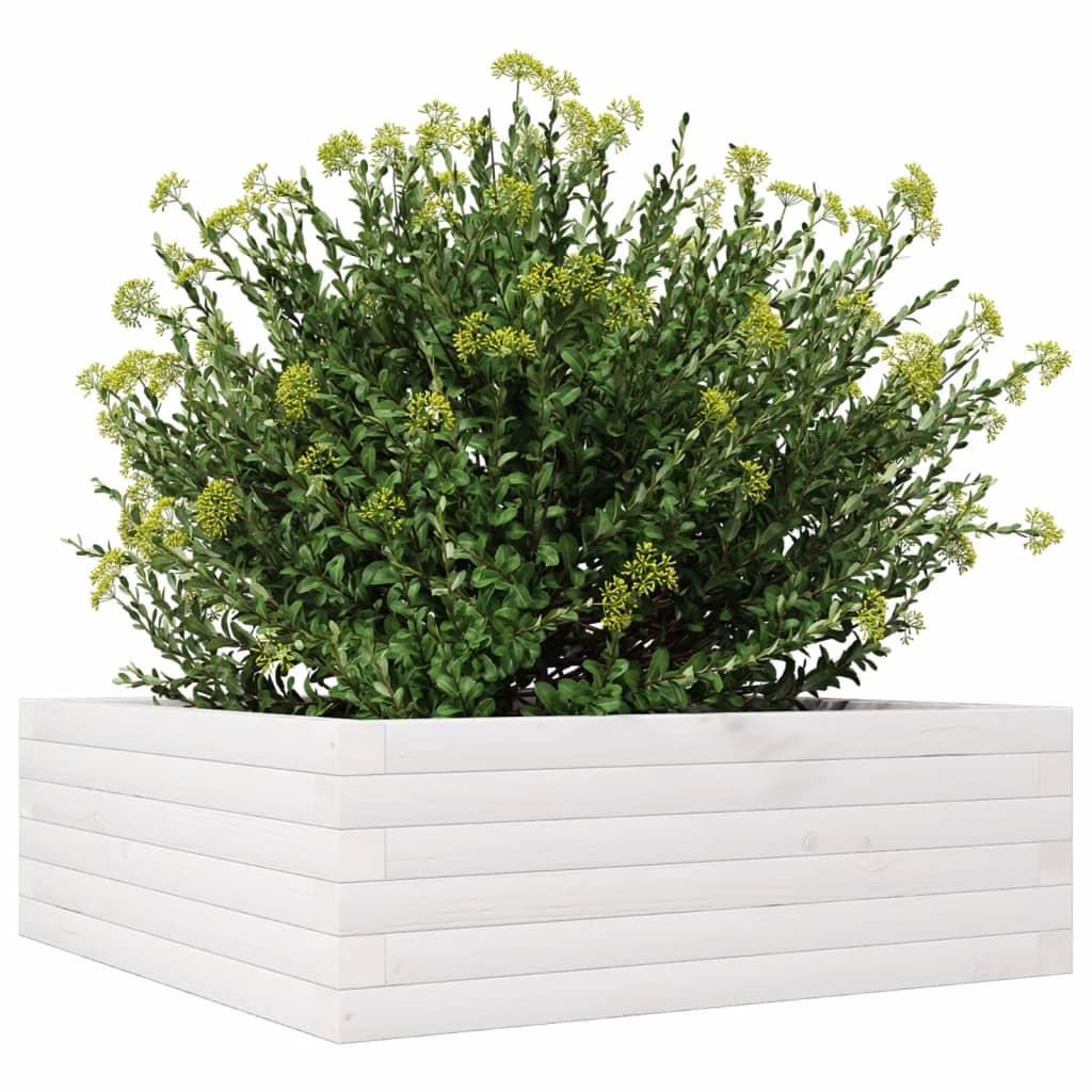 vidaXL Plantenbak 70x70x23 cm massief grenenhout wit